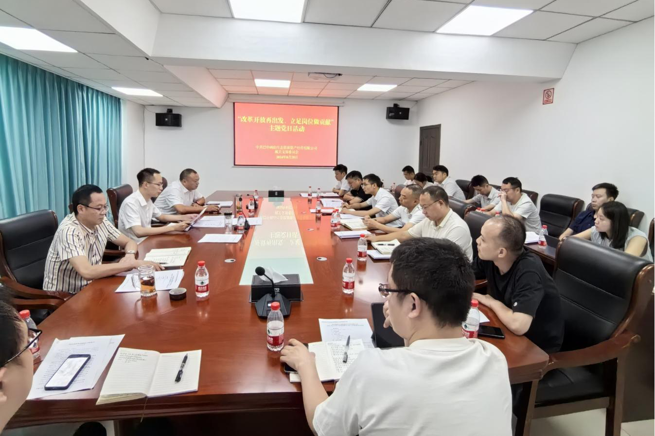 巴中兩山公司開展“改革開放再出發(fā)、立足崗位做貢獻”主題黨日活動