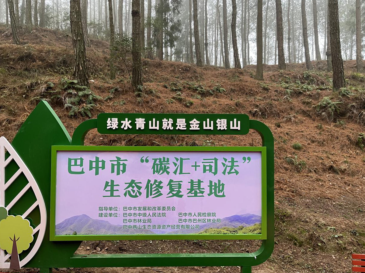 巴中兩山生態(tài)資源資產(chǎn)經(jīng)營有限公司在巴州區(qū)天馬山鎮(zhèn)啟動“碳匯+司法”生態(tài)修復基地建設(shè)工作